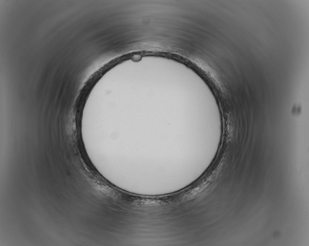 X0000094361070200711301420