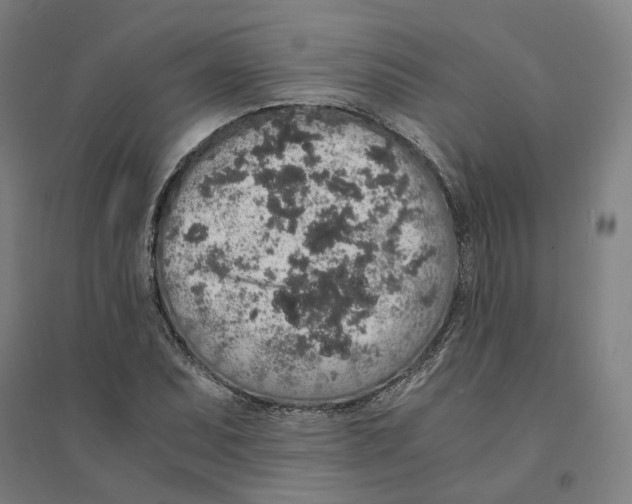 X0000094361071200711301420