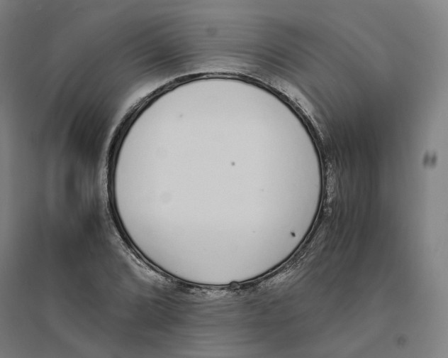 X0000094361072200711301420