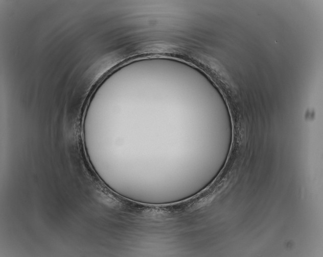 X0000094361073200711301420