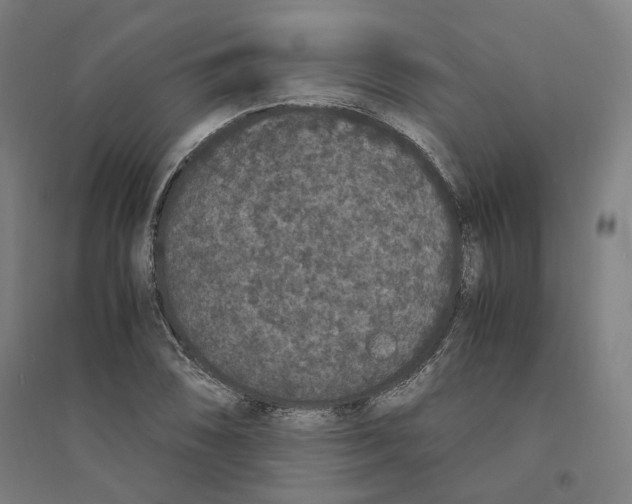 X0000094361074200711301419