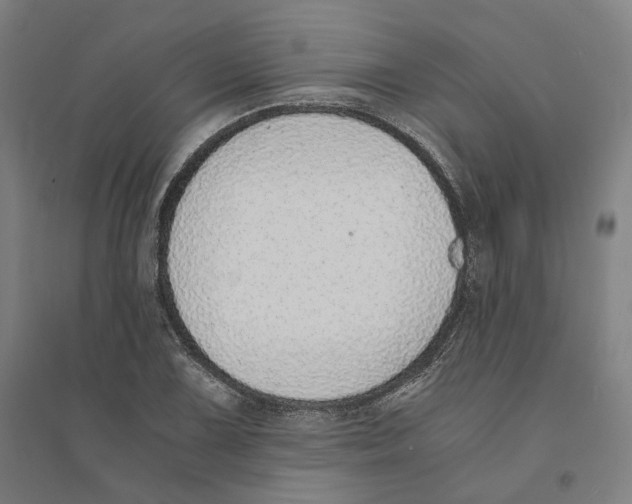 X0000094361075200711301419