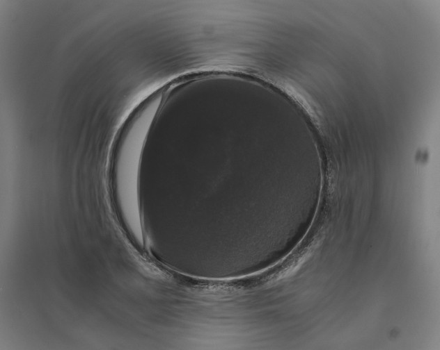 X0000094361077200711301419
