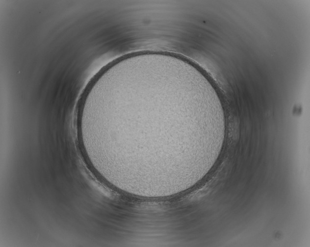 X0000094361078200711301419