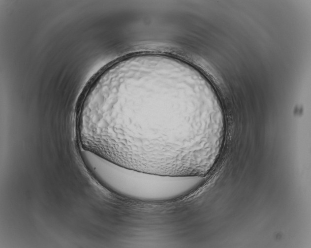 X0000094361079200711301419