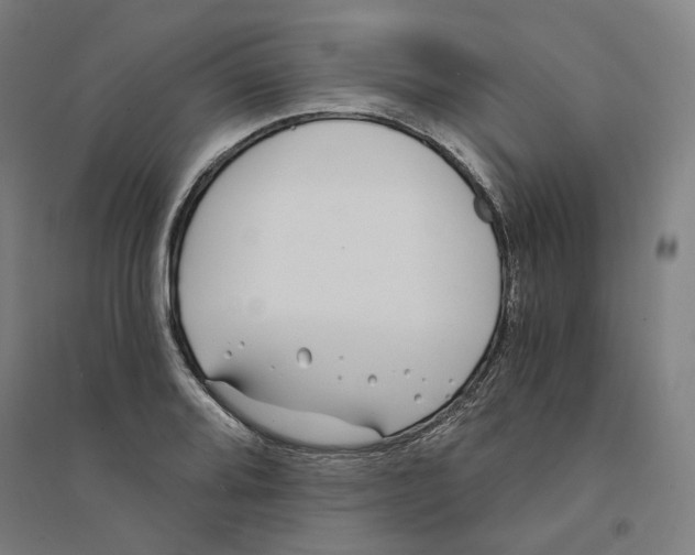 X0000094361080200711301419
