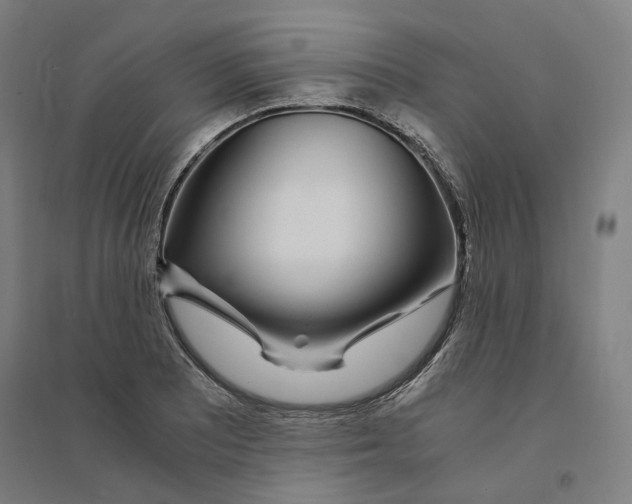 X0000094361081200711301419
