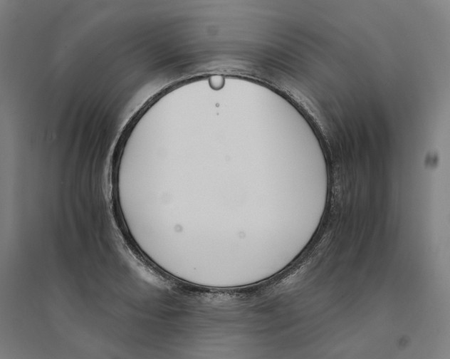 X0000094361082200711301419