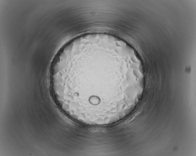 X0000094361083200711301419