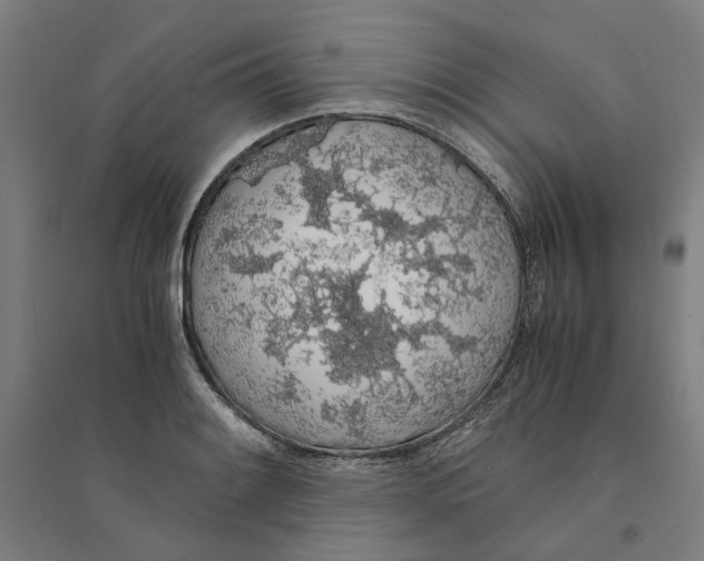X0000094361084200711301419