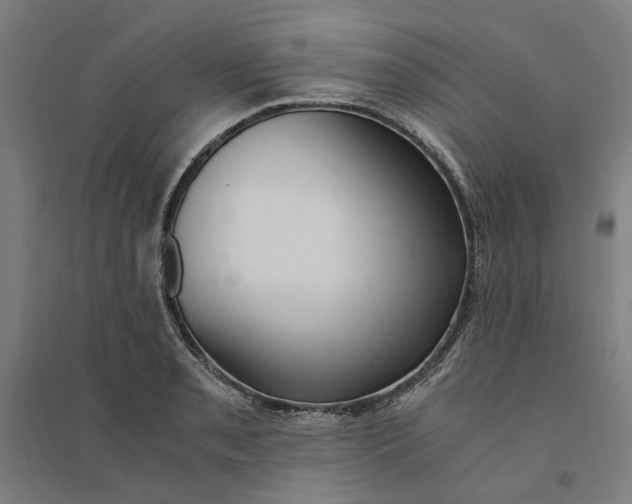X0000094361085200711301419