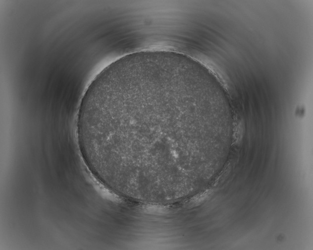 X0000094361086200711301419