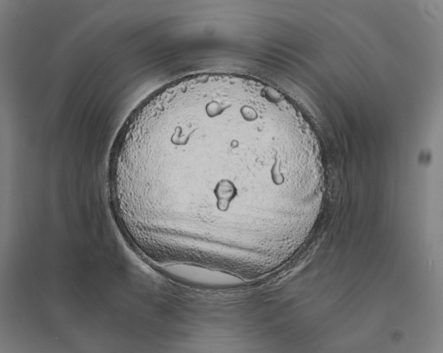X0000094361087200711301419