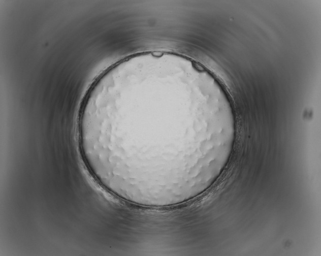 X0000094361088200711301419