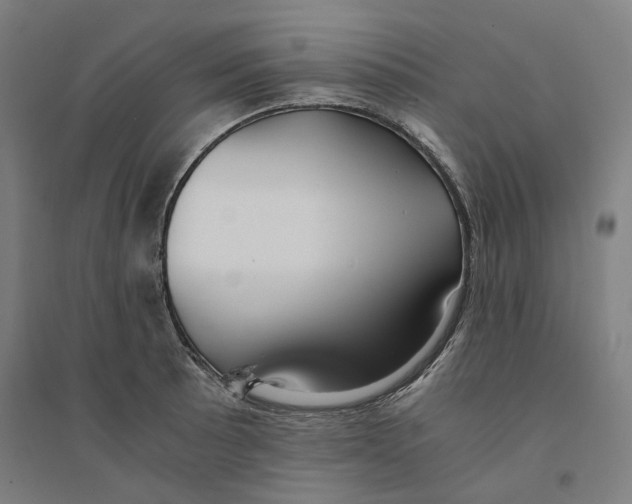 X0000094361089200711301419