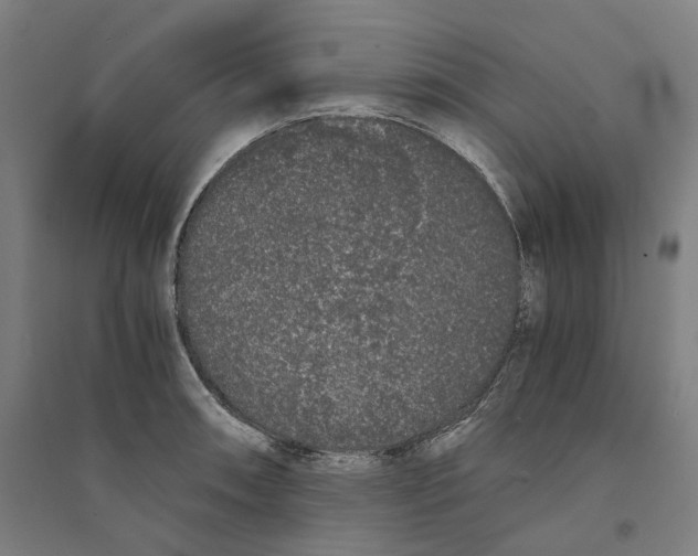 X0000094361090200711301419