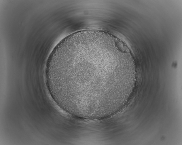 X0000094361091200711301419