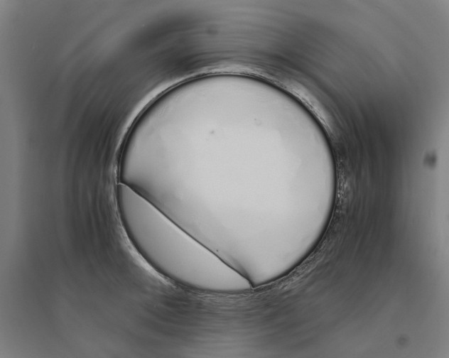 X0000094361092200711301419