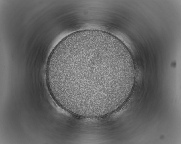 X0000094361094200711301419