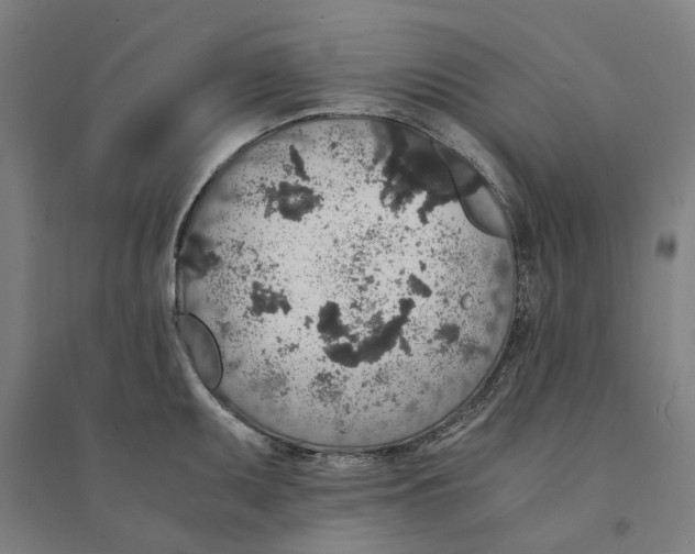 X0000094361095200711301419