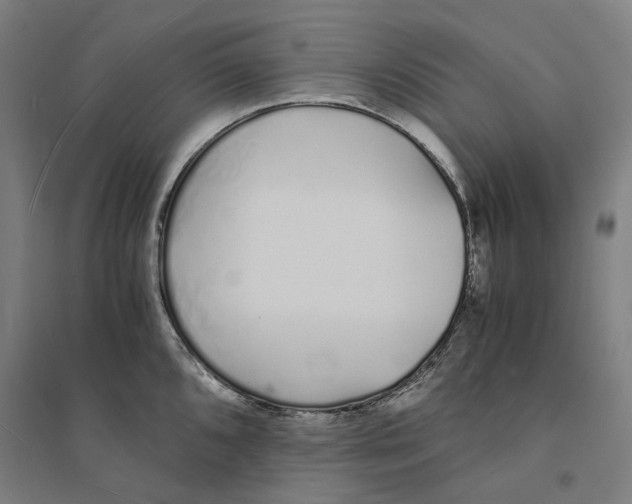 X0000094361096200711301419