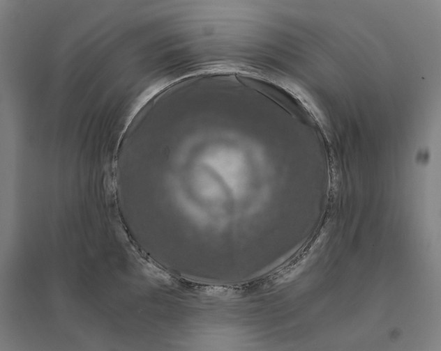 X0000094361097200711301419