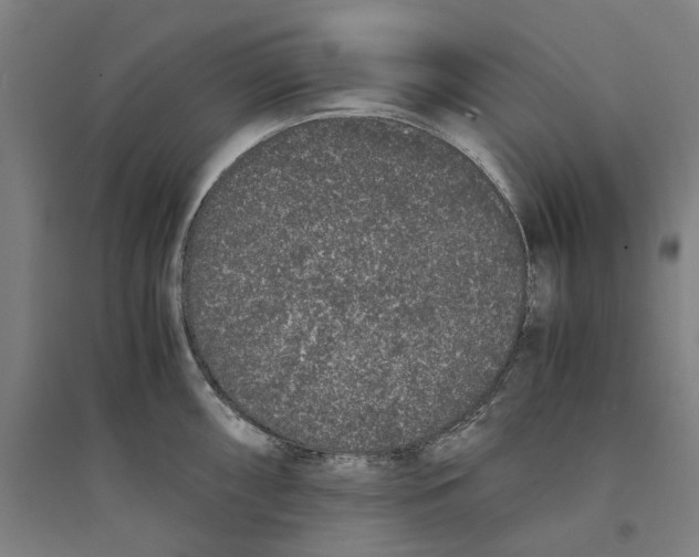 X0000094361098200711301419