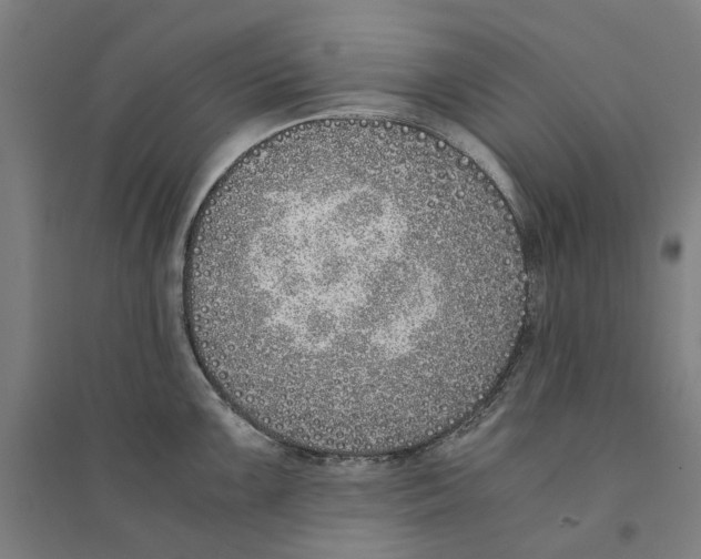 X0000094361099200711301419