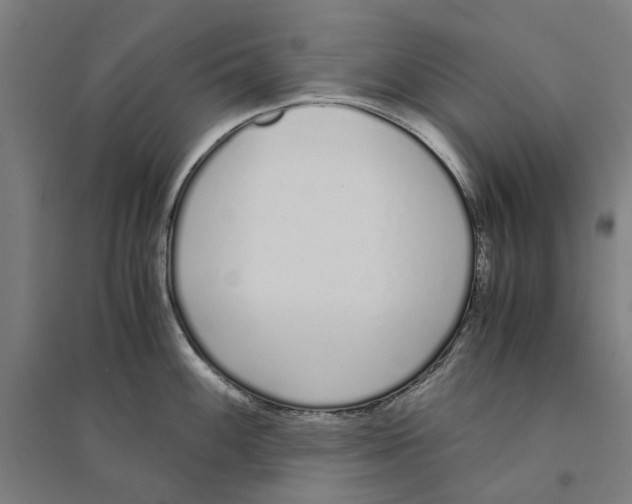 X0000094361100200711301419