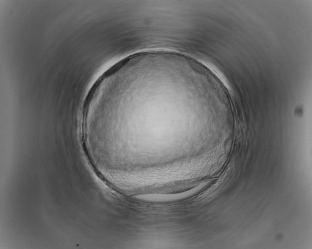 X0000094361101200711301419