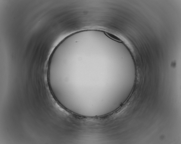 X0000094361102200711301419