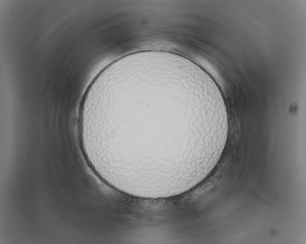 X0000094361103200711301419