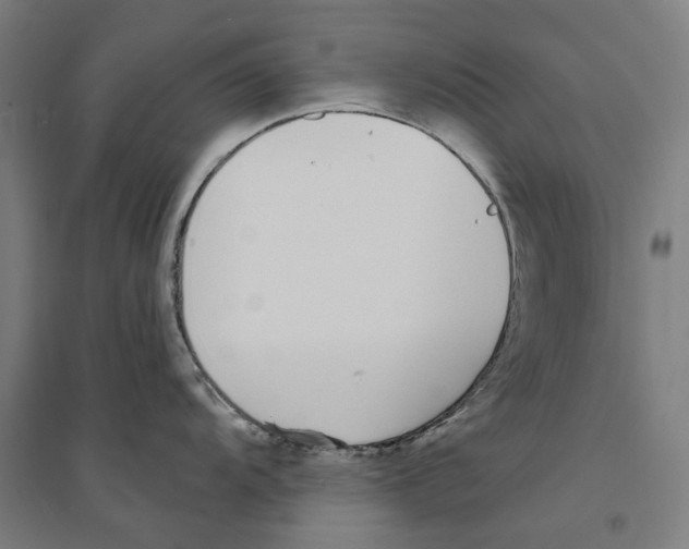 X0000094361104200711301419