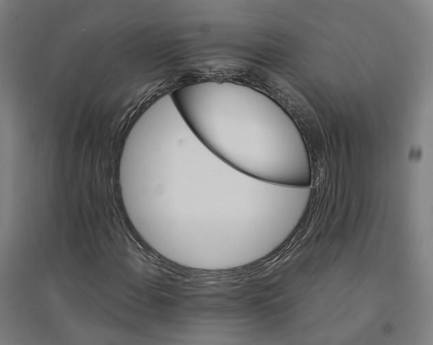 X0000094361108200711301418