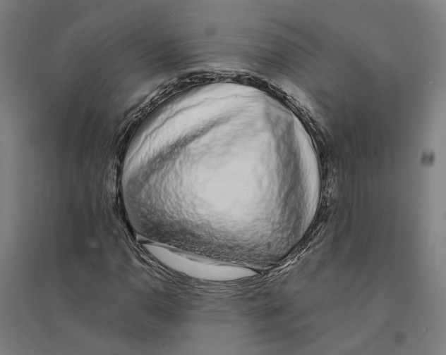X0000094361110200711301418