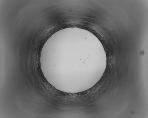 X0000094361111200711301418