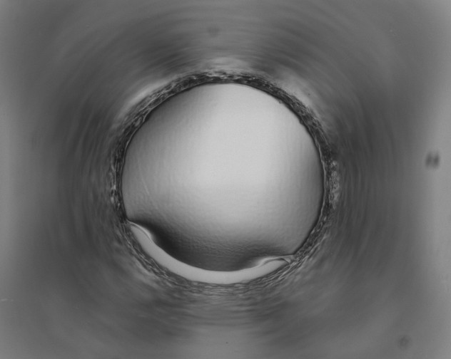 X0000094361112200711301419