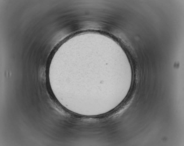 X0000094361113200711301419