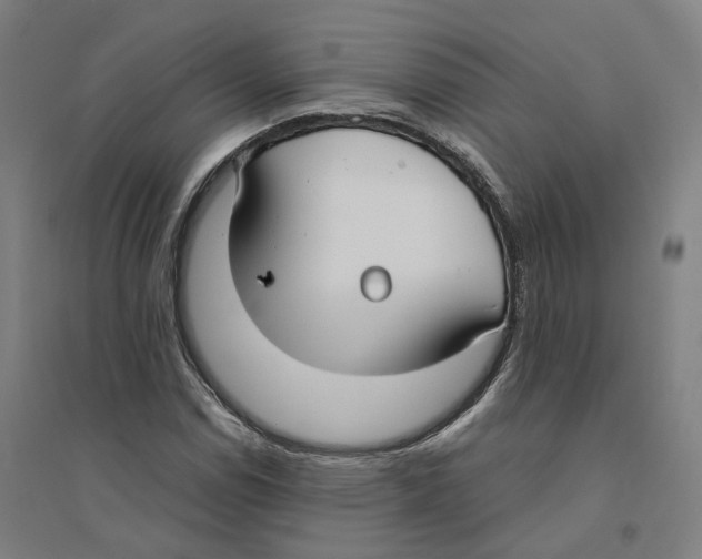 X0000094361114200711301419