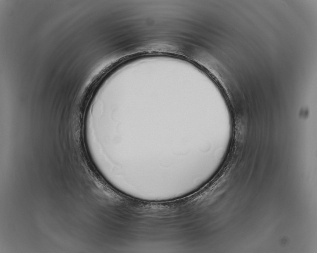 X0000094361115200711301419