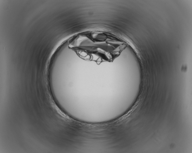 X0000094361116200711301419