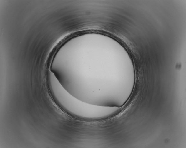 X0000094361118200711301419