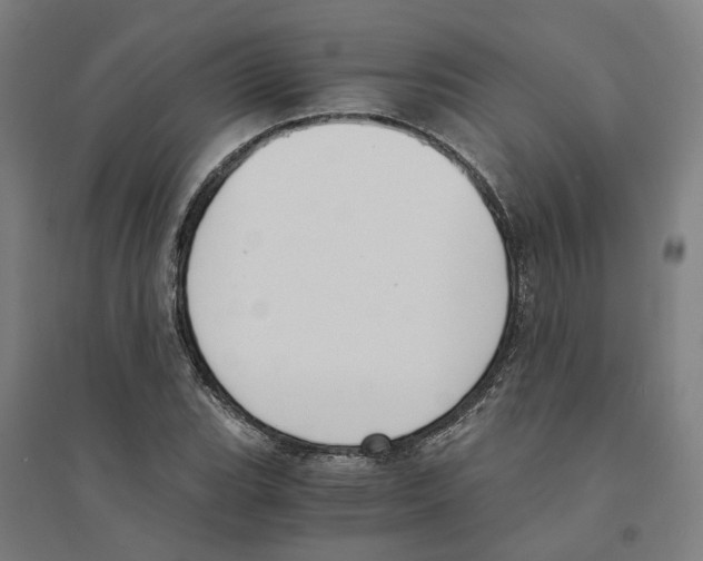 X0000094361119200711301419