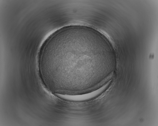 X0000094361120200711301419