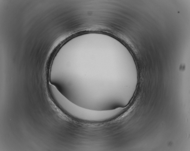 X0000094361122200711301419