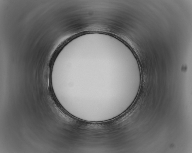 X0000094361123200711301419