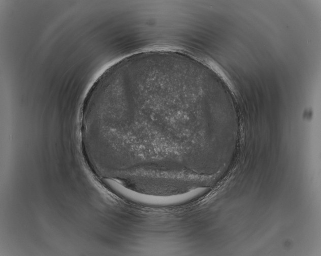 X0000094361124200711301419