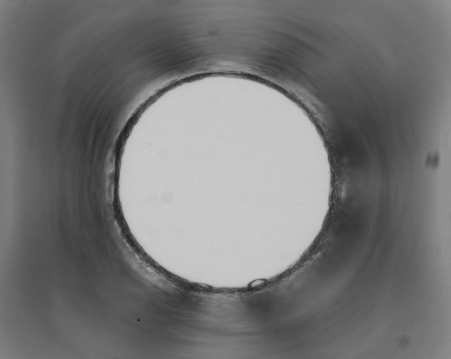 X0000094361126200711301419