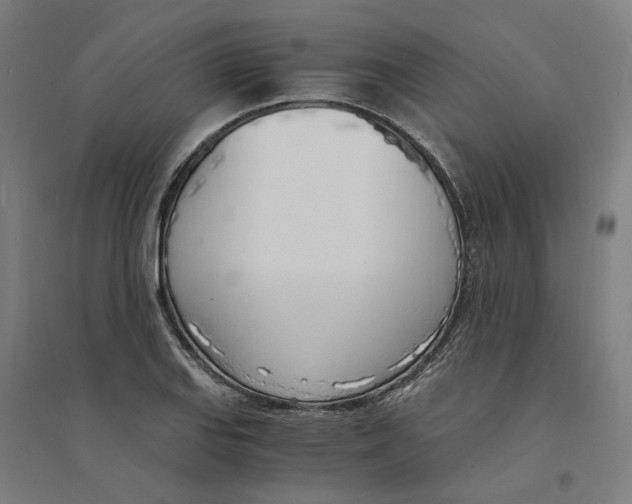 X0000094361127200711301419