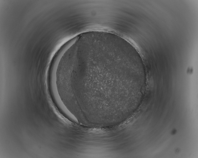 X0000094361128200711301419